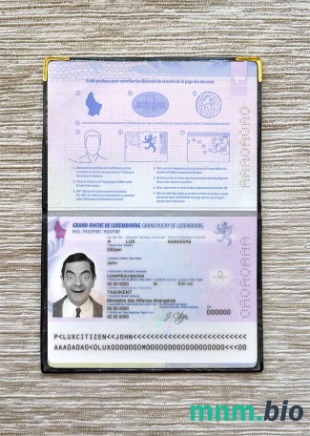 Luksemburg zdjęcie do paszportu pliki PSD, skan i fotografowany obraz